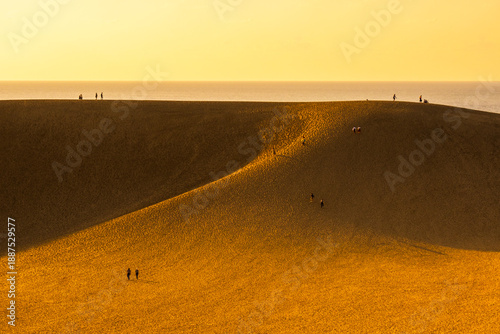 鳥取砂丘　夕暮れ