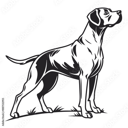 Black and white dog illustration