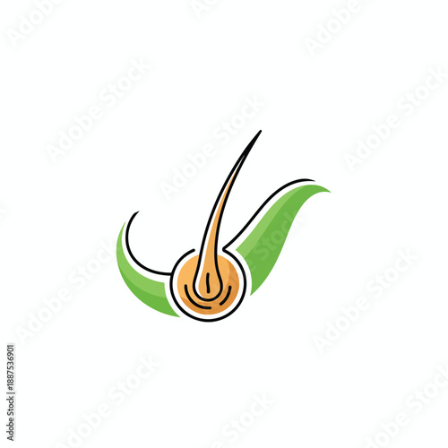 Vector illustration of hair follicle with green leaves, symbolizing natural hair growth and health care concept