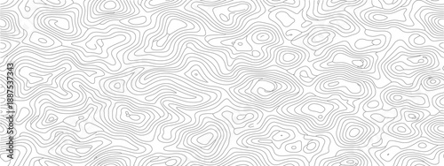Abstract pattern of white lines on a white background.