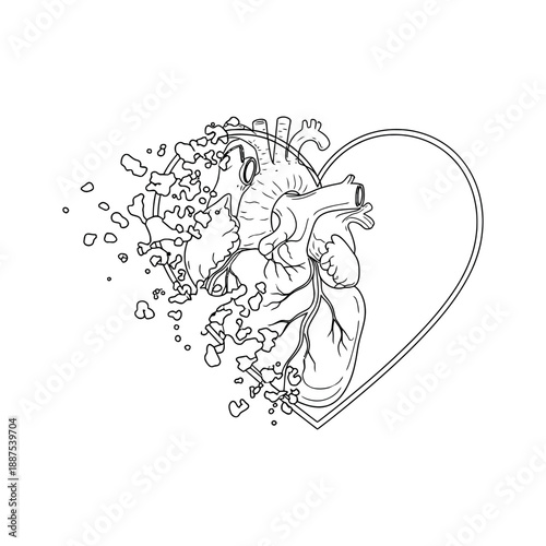 Detailed anatomical heart illustration with shattered glass effect inside a heart-shaped frame, symbolizing love, care, and the fragility of the human heart