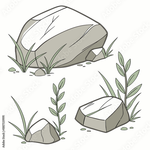 Illustration of rocks and plants
