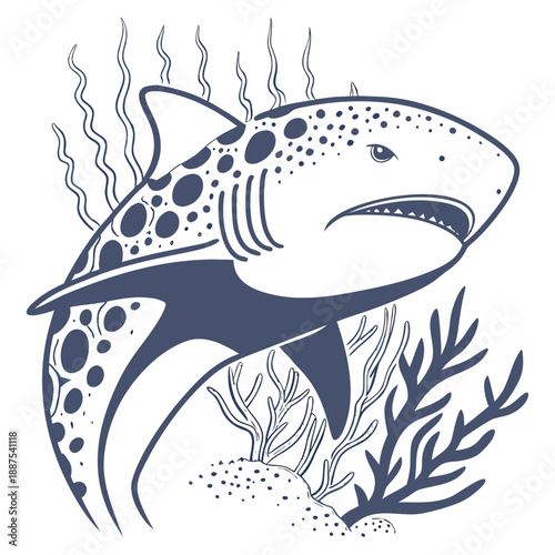 Shark illustration