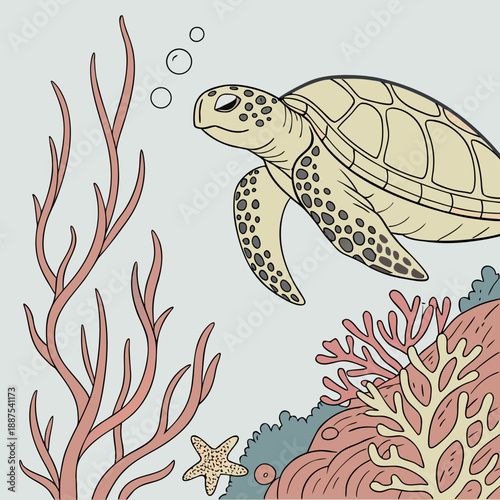 Sea turtle in a coral reef