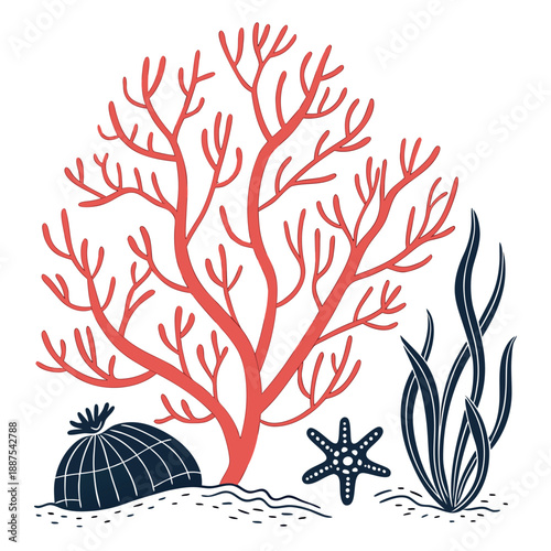 Underwater marine life illustration