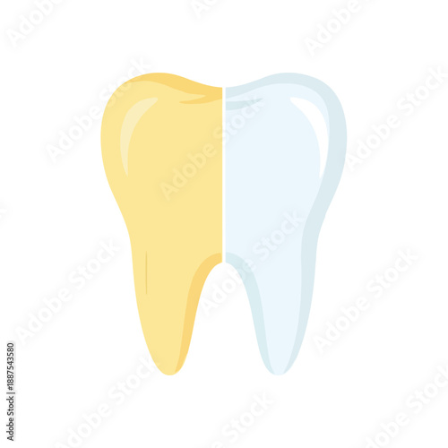 Illustration showcasing a tooth split in half, depicting the contrast between yellowed and clean, white enamel, representing dental hygiene and whitening treatments