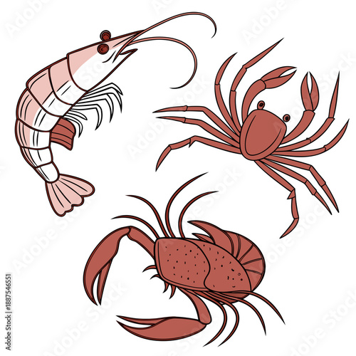 Illustration of seafood: shrimp, crab, and lobster
