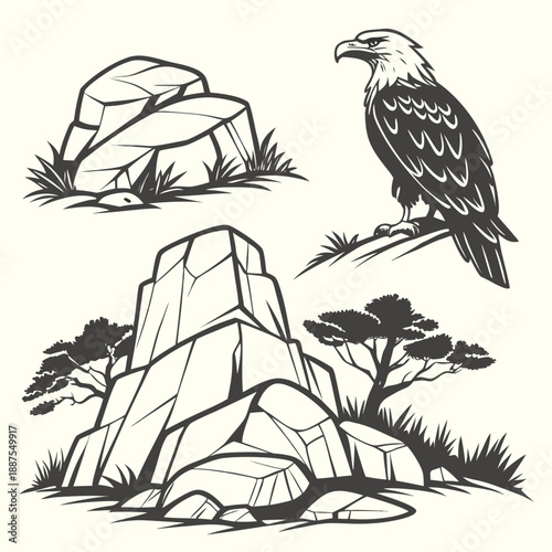 Eagle perched on rocky landscape