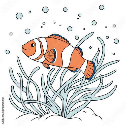 Clownfish swimming in coral