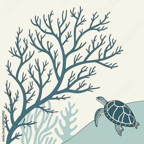 Sea turtle and coral reef