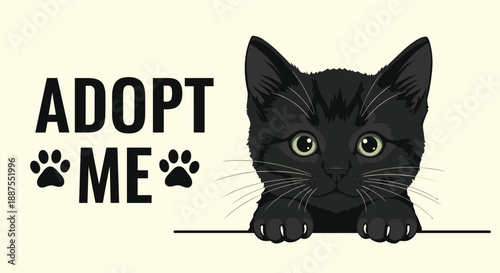 Cute black kitten peeking over edge next to adopt me text with paw prints for animal shelter and rescue awareness.