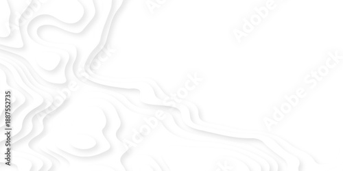 Pattern with lines the stylized height of the topographic map contour in lines and contours isolated on layers. White topography curve lines map isolated on white background.