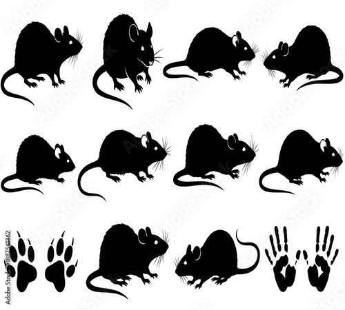 A collection of black silhouette images depicting various poses of mice and their paw prints