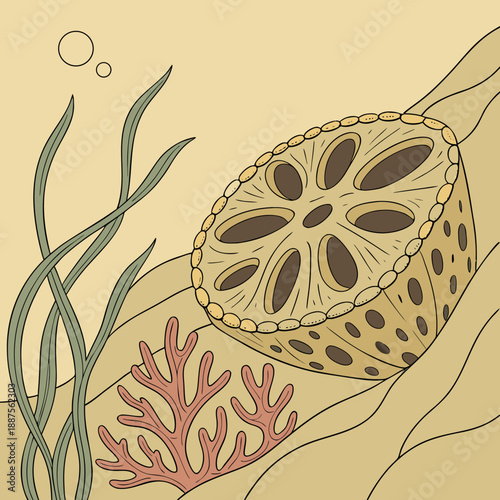 Underwater marine life illustration