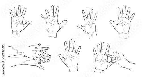 Collection of Hand Gestures Illustrated in Simple Line Art.