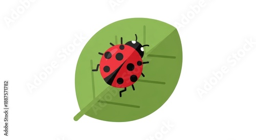 Ladybug on a leaf illustration with a white background.