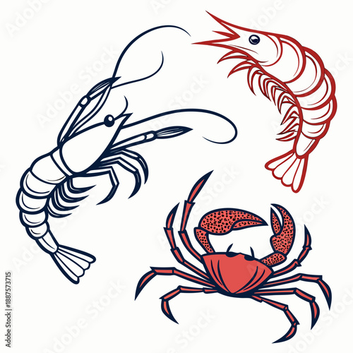 Illustration of seafood: shrimp, prawn, and crab