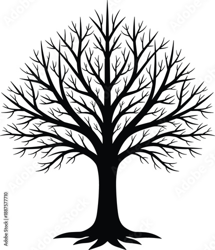 Detailed bare tree silhouette with intricate branches and roots for nature conservation landscape and family tree genealogy vector