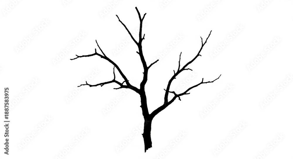 Fototapeta premium A barren tree stands alone in a stark landscape viewed from a distance with bare branches
