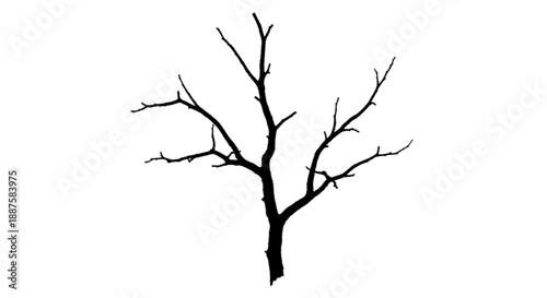 A barren tree stands alone in a stark landscape viewed from a distance with bare branches