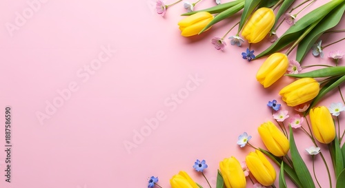 Happy mother's day floral wishes with yellow tulips and pink background