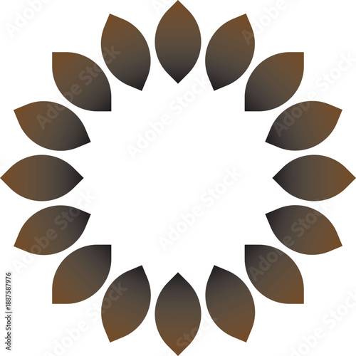 brown-black petals vector illustration design