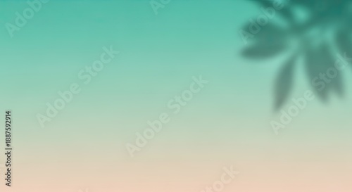 Sunset with palm tree silhouette