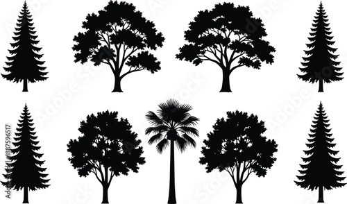 Black silhouette collection of diverse trees including pine spruce oak and palm isolated on white background for nature landscape forest and environmental vector design (25 words)