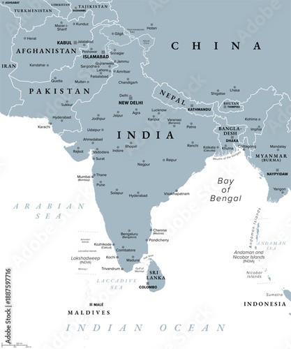 South Asia, a subregion of Asia, gray political map with borders, capitals and large cities. The states India, Pakistan, Afghanistan, Nepal, Bhutan, Bangladesh, Sri Lanka, and the Maldives. Vector