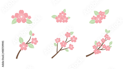 Pink Cherry Blossom Branches and Flowers Set, Spring Floral Elements