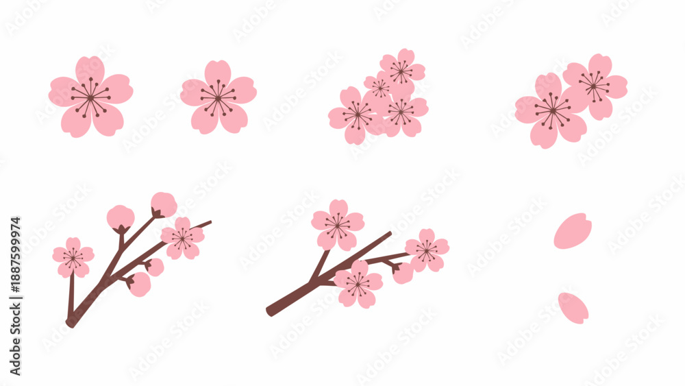 Fototapeta premium Pink Cherry Blossom Flowers and Petals - Spring Floral Elements