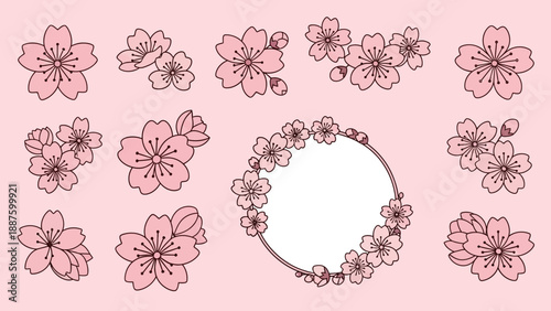 Pink Cherry Blossom Flower Illustrations Set on Pastel Pink Background