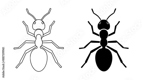 Two black and white ant icons, one outlined and one filled silhouette, isolated on a white background, ideal for graphic design and illustration projects.