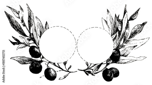 Marco decorativo de ramas de olivo con frutos negros y espacios circulares para texto o fotos.