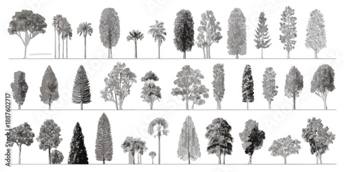Coleção de silhuetas de árvores diversas em escala e estilo arquitetônico, isoladas em fundo transparente.