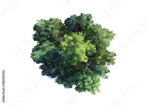 Vista aérea de copa de árvore densa e verde, isolada em fundo transparente, ideal para projetos de arquitetura.