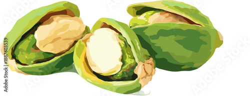 Ilustración de tres pistachos frescos con cáscara verde abierta mostrando el fruto interior