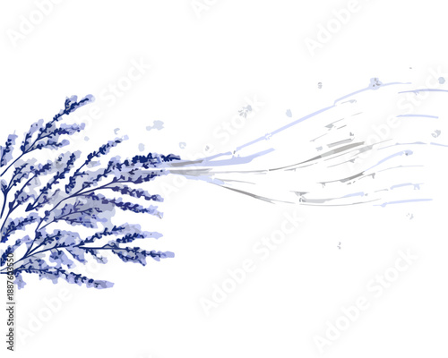 Illustrazione minimalista di lavanda stilizzata con effetto soffio o vento su sfondo bianco trasparente.