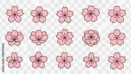 Set of Pink Cherry Blossom Flowers, Hand Drawn Style, Isolated on Transparent Background