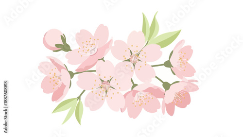 Delicate Pink Cherry Blossom Branch with Green Leaves, Spring Floral Illustration