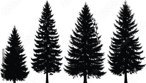 Black vector silhouette set of four different evergreen pine and spruce trees for winter forest nature landscape and Christmas holiday environment outdoor design