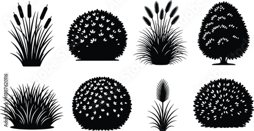 Set, of, Black, Silhouette, Botanical, Shrubs, Garden, Bushes, Ornamental, Grasses, Reed, Plants, Nature, Landscaping, Design, Elements,
