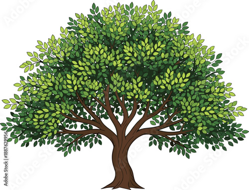 Green Leafy Tree Illustration with Lush Foliage and Strong Branches Isolated on White Background for Environment Sustainability Genealogy Family Tree and Nature Design Concepts