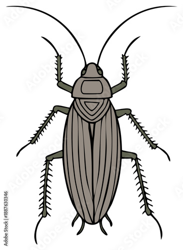 Stylized Brown Cockroach Illustration Insect Pest Bug Design Cartoon Graphic