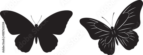 Two black butterfly silhouettes with intricate wing patterns isolated on white background