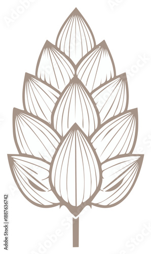Stylized Illustration of a Hops Cone, Graphic Floral Design