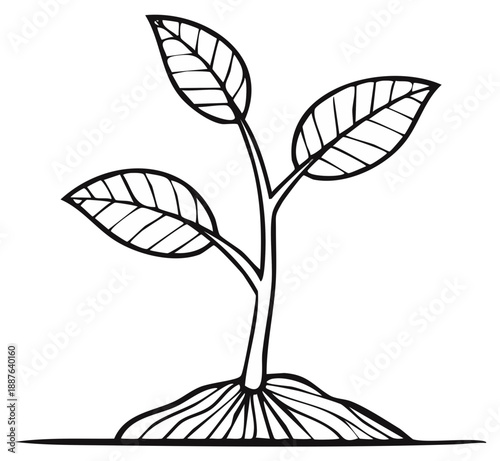 Stylized Line Art Young Plant Sprouting from Soil with Visible Roots and Leaves
