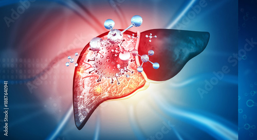 3D Human Liver Anatomy with Metabolic Chemical Molecule Overlay