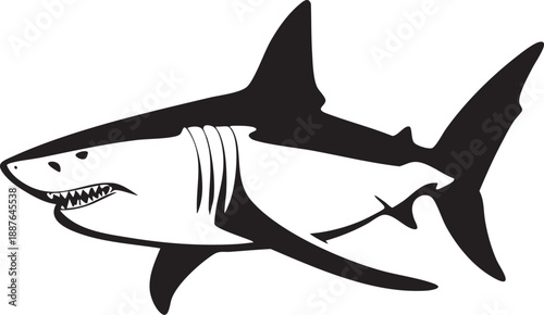 Requin agressif - Silhouette