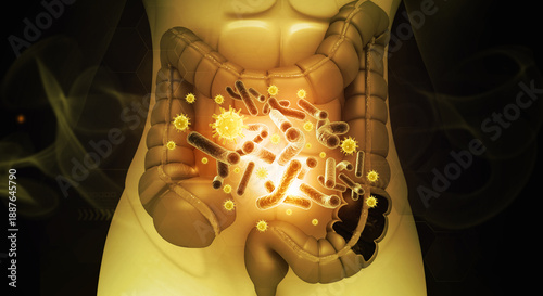3D Visualization of Human Gut Microbiome: Diversity and Infection Pathogens